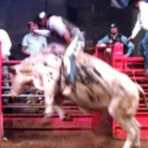 Meet your Posher, Derrick